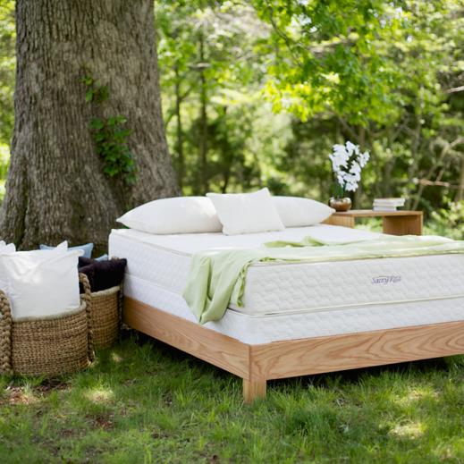 savvy rest non toxic natural mattress on thefiltery.com