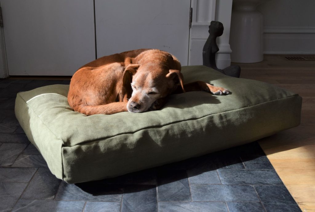 natural non toxic dog beds