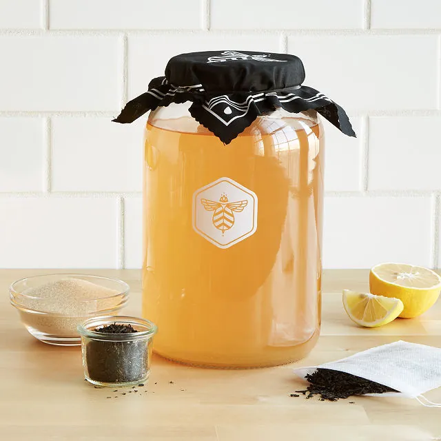 kombucha brew kit gift ideas