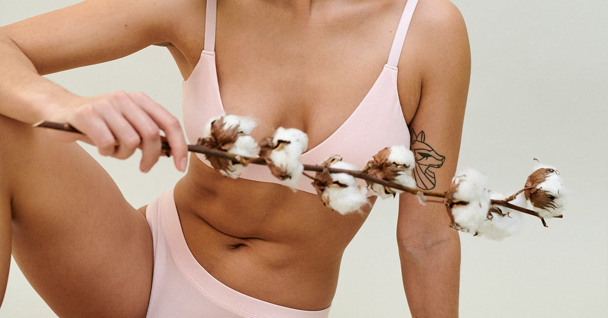 A midriff closeup of a feminine person wearing light pink organic cotton bra and matching panty from Organic Basics. They are holding a branch of cotton in front of them.
