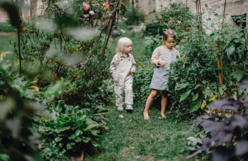 how to create a natural sensory garden for kids