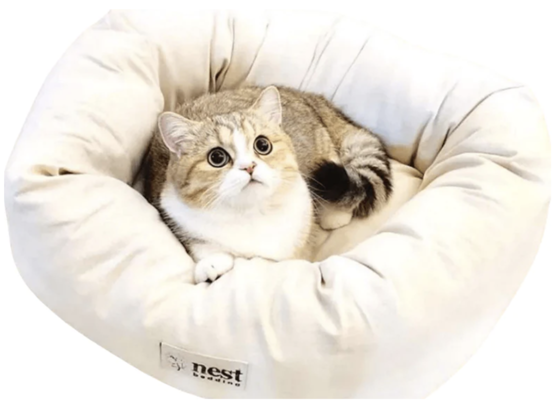 eco-friendly at beds from nest bedding